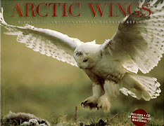 Arctic Wings