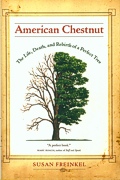 American Chestnut