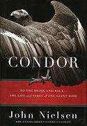 Condor