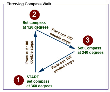 3-Leg Compass Walk