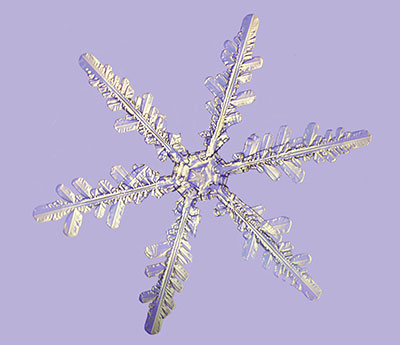 Stellar Snow Crystal