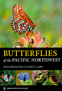 Butterflies of the Pacific NW
