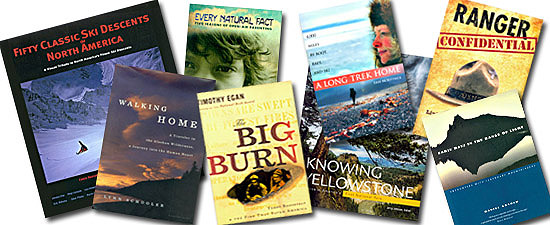 Best Books 2010 Collage