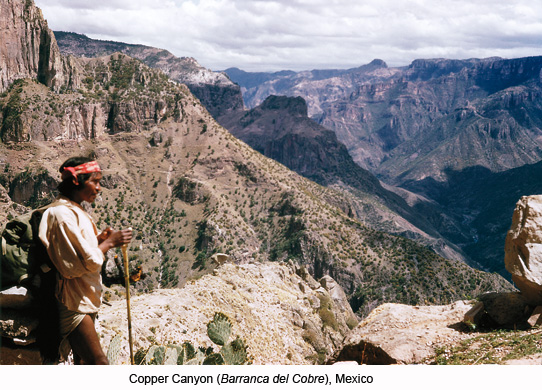 Copper Canyon Mexico