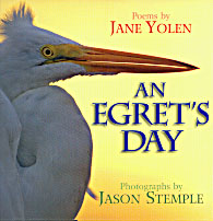 Egret's Day