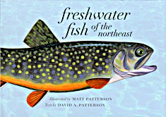 Freshwater Fish