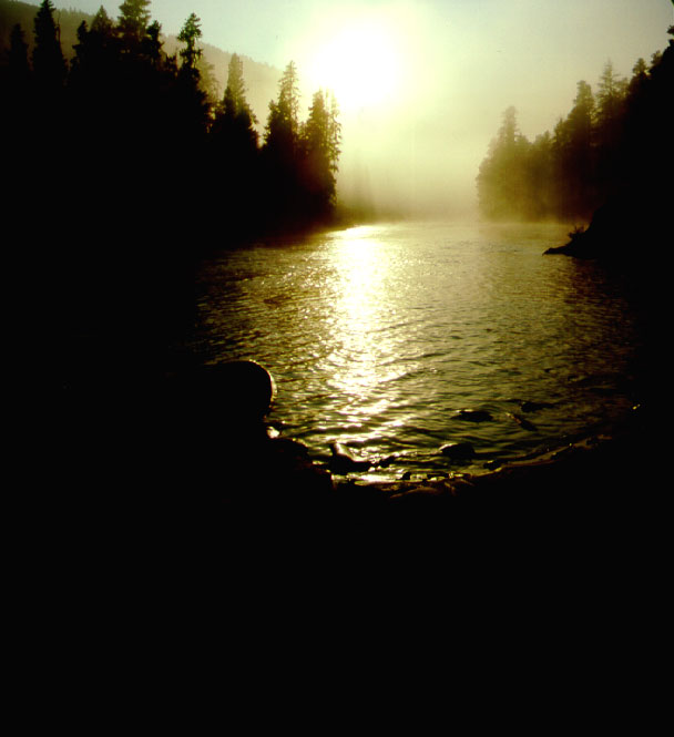 Misty River Scene