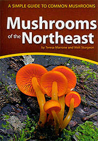 Mushrooms of the Northeast