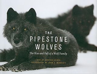 Pipestone Wolves