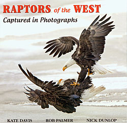 Raptors of the West