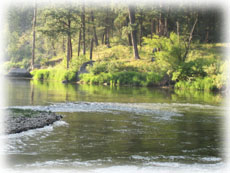 River Scene