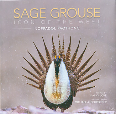 Sage Grouse