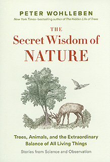 Secret Wisdom of Nature