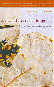 Small Heart of Things