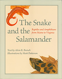 Snake and Salamander