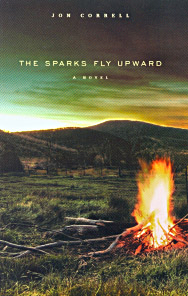 Sparks Fly Upward