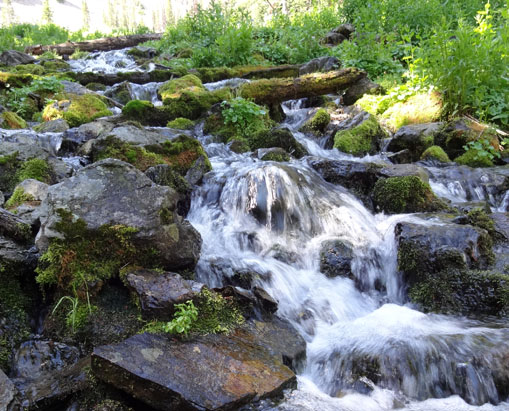 Mountain Stream