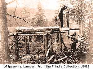 Whip Sawing Lumber