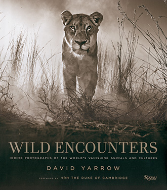 Wild Encounters