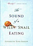 Sound of Wild Snail