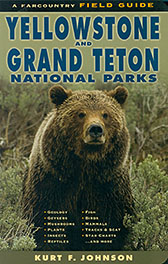 Yellowstone & Grand Teton National Parks