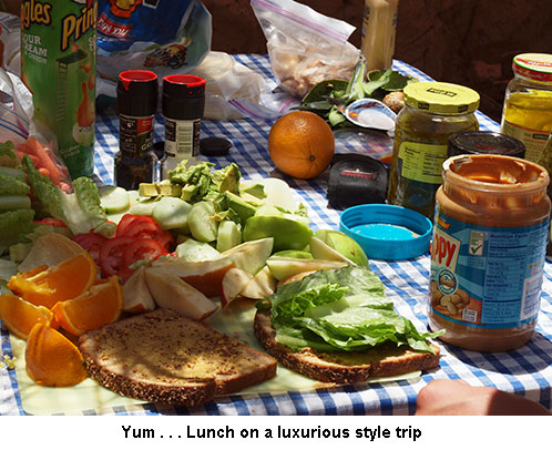 Yum: Lunch on a Luxurious Style trip