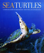 Sea Turtles