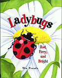 Ladybugs