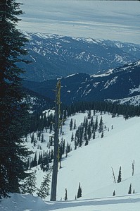 Bitterroots in the Winter