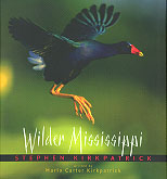 Wilder Mississippi