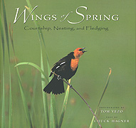 wings of Spring