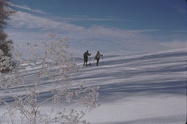 Ah...the Beauty of Winter