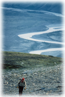 View of the Alsek River