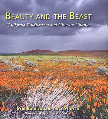 Beaty and the Beast