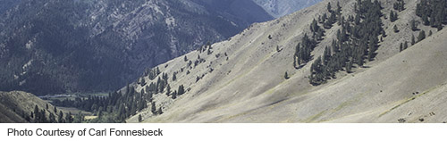 Cabin Creek - Big Creek Junction