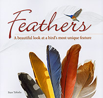 Feathers