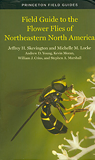 Flower Flies of NE
