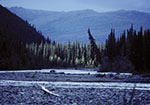 Forty Mile River