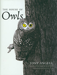 House of Owls
