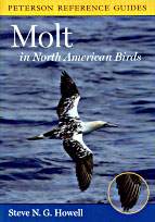 Molt