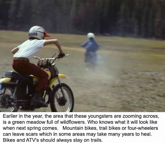 Minimal Impact: Mountain bikes or trail bikes or four-wheelers can leave scars which in some areas may take many years to heal. Bikes and ATV's should always stay on trails. 