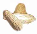Minimal Impact: Peanut Shells - Pack 'em out