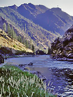 River Scene