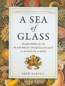 Sea of Glass