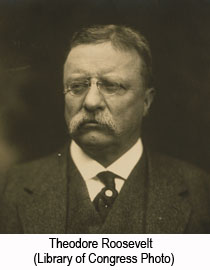 Teddy Roosevelt
