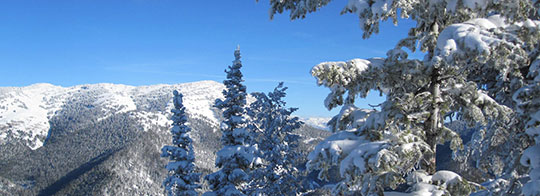 Teton Pass Scenic