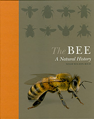 The Bee
