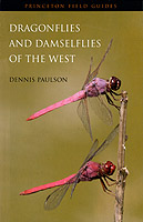 Dragon Flies