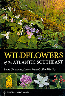 Wildflowers of the Atlantic SE