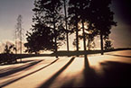 Winter Eve